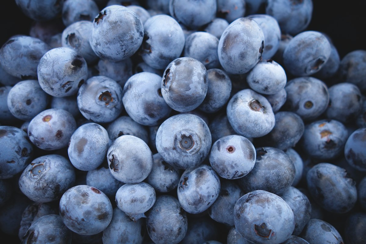 Bunte Beeren und Früchte